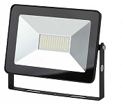 Прожектор светодиодный   70Вт "ЭРА" LPR  IP65 (Б0032641)