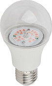 Лампа светодиодная "ЭРА" A60 220В 10Вт Е27 для роста растений FITO-10W-RB-E27-K