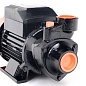 Насос поверхностный Patriot QB-80 315302461 